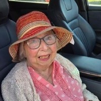 Siri Anne Volan