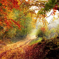 Turid Hvalshagen Bagn